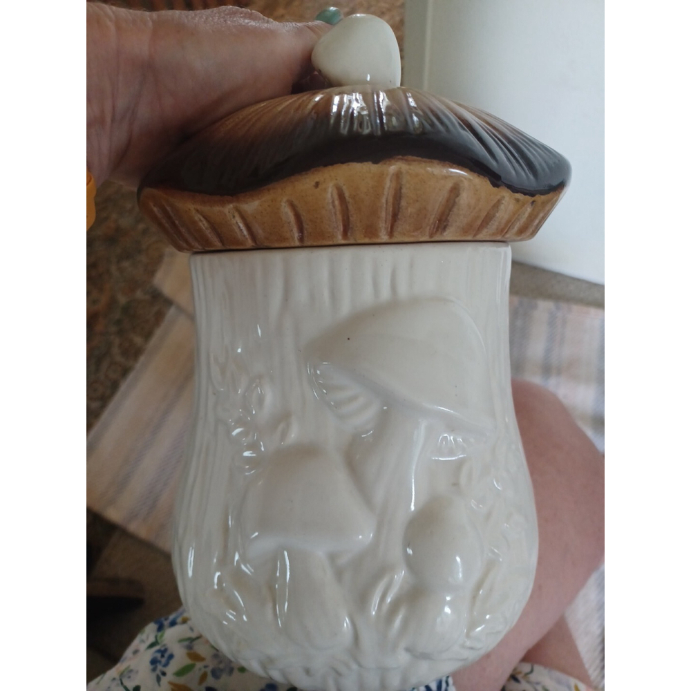 Vintage Arnel Mushroom Canister With Lid Medium 10" Candy Cookie Jar